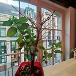 Appartamento La Cachette Du Vieux-lille, Retroprojecteur, Wifi