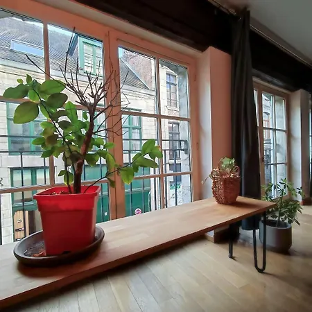La Cachette Du Vieux-lille, Retroprojecteur, Wifi