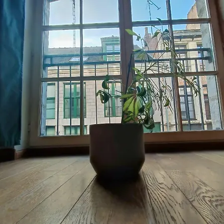 La Cachette Du Vieux-lille, Retroprojecteur, Wifi Lägenhet *