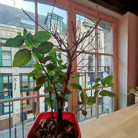 Lägenhet La Cachette Du Vieux-lille, Retroprojecteur, Wifi