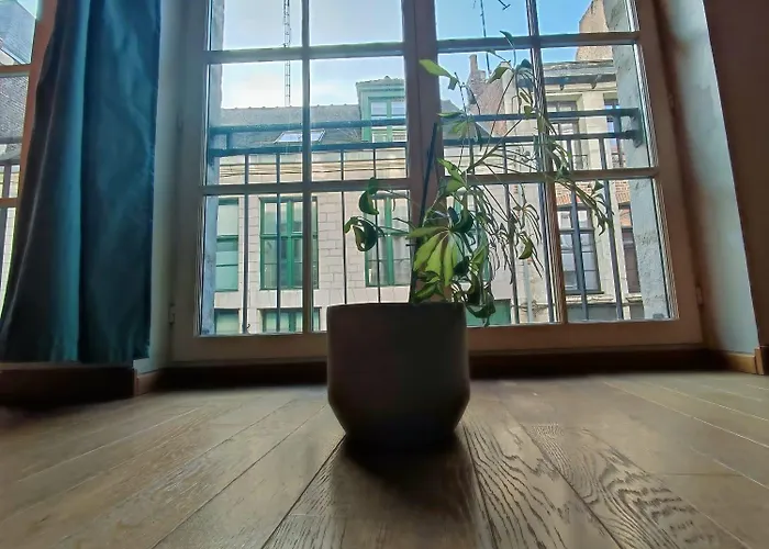La Cachette Du Vieux-lille, Retroprojecteur, Wifi Lejlighed *