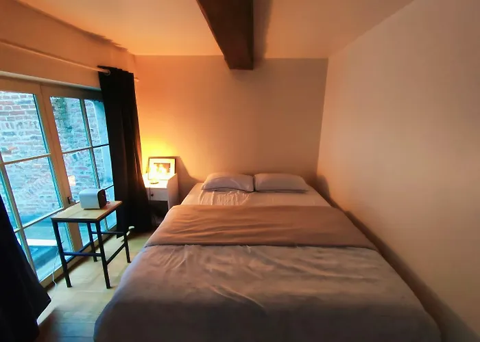 La Cachette Du Vieux-lille, Retroprojecteur, Wifi *