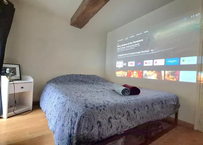 La Cachette Du Vieux-lille, Retroprojecteur, Wifi Lille